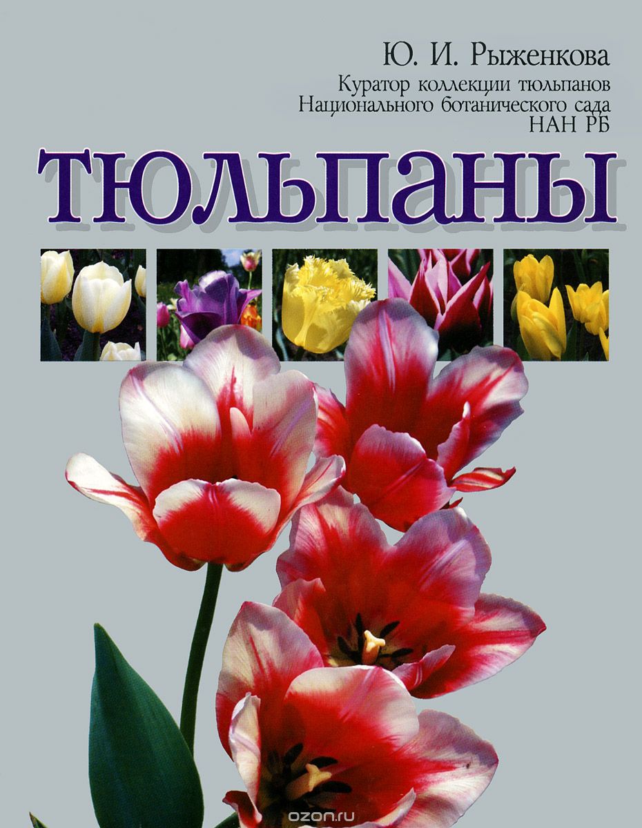 Скачать книгу "Тюльпаны, Ю. И. Рыженкова"