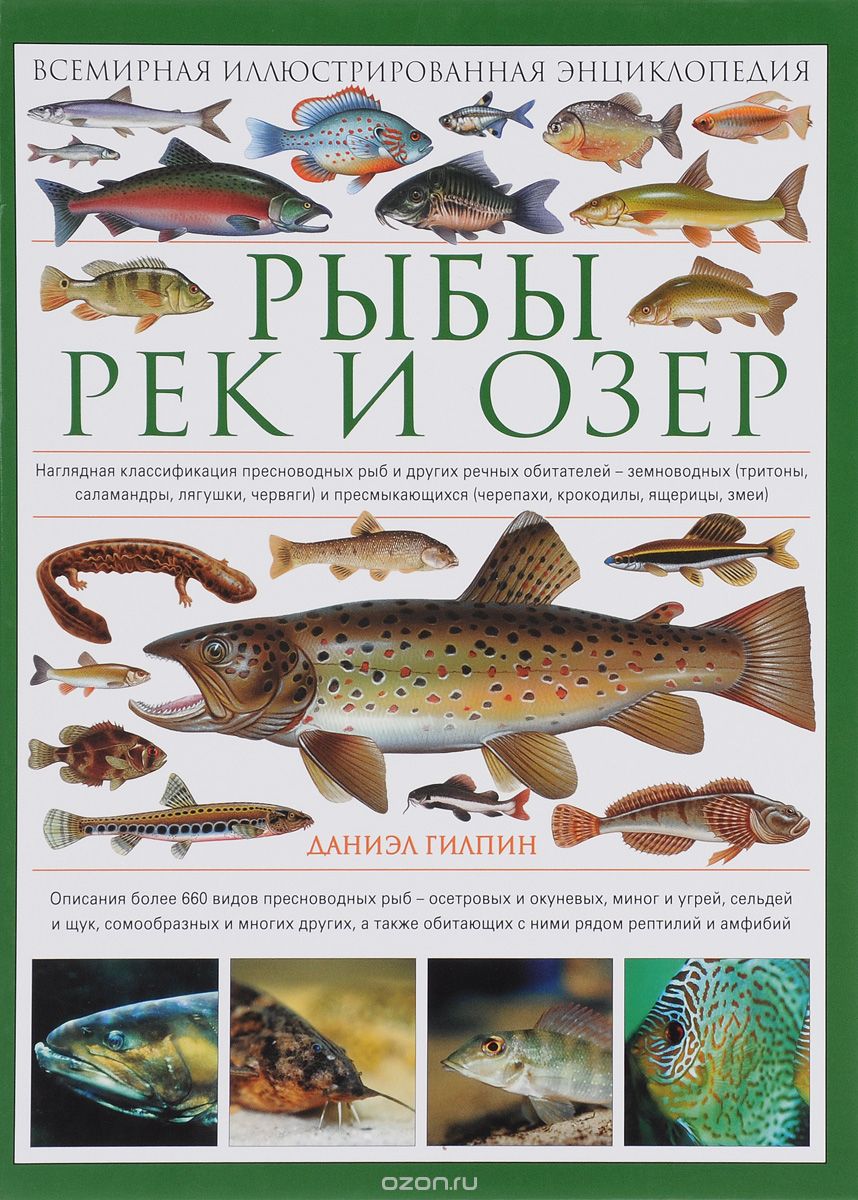 Скачать книгу "Рыбы рек и озер. Всемирная иллюстрированная энциклопедия, Даниэл Гилпин"