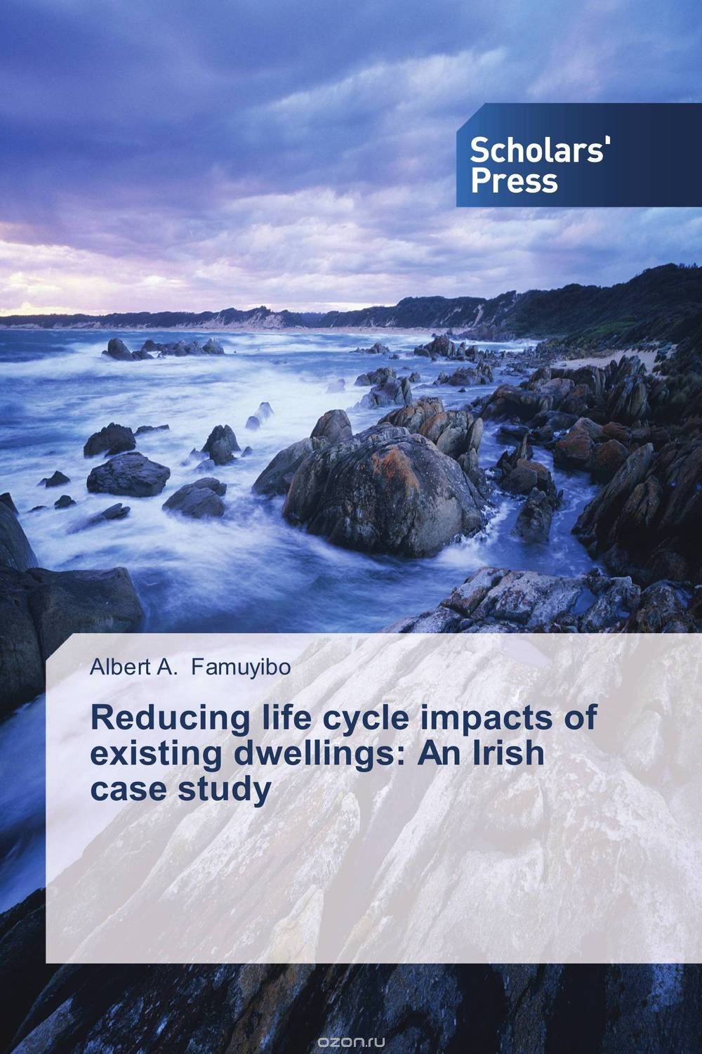 Скачать книгу "Reducing life cycle impacts of existing dwellings: An Irish case study"