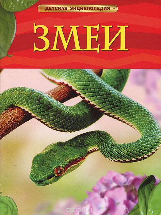 Змеи, Джонатан Шейх-Миллер