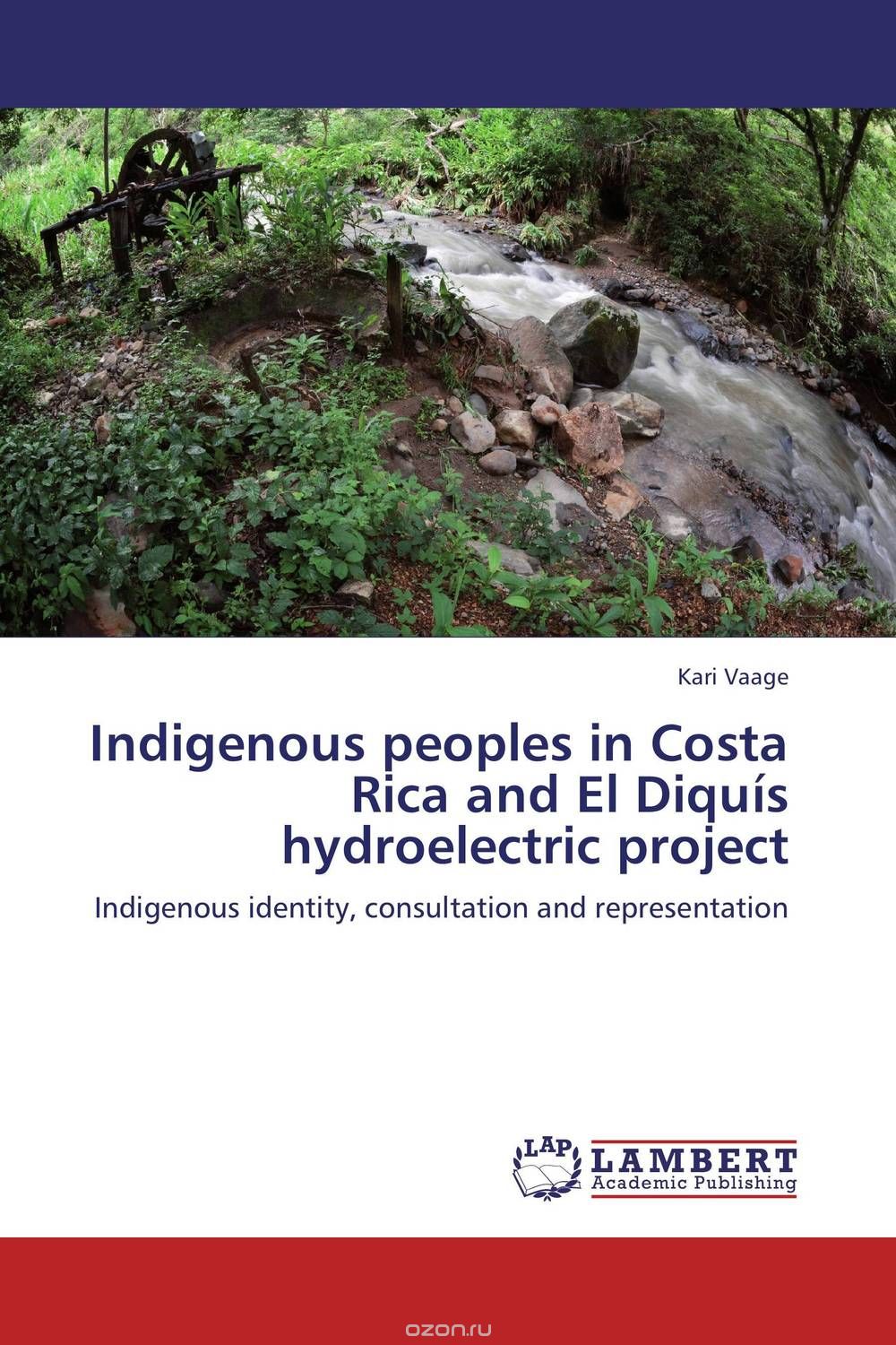 Скачать книгу "Indigenous peoples in Costa Rica and El Diquis hydroelectric project"