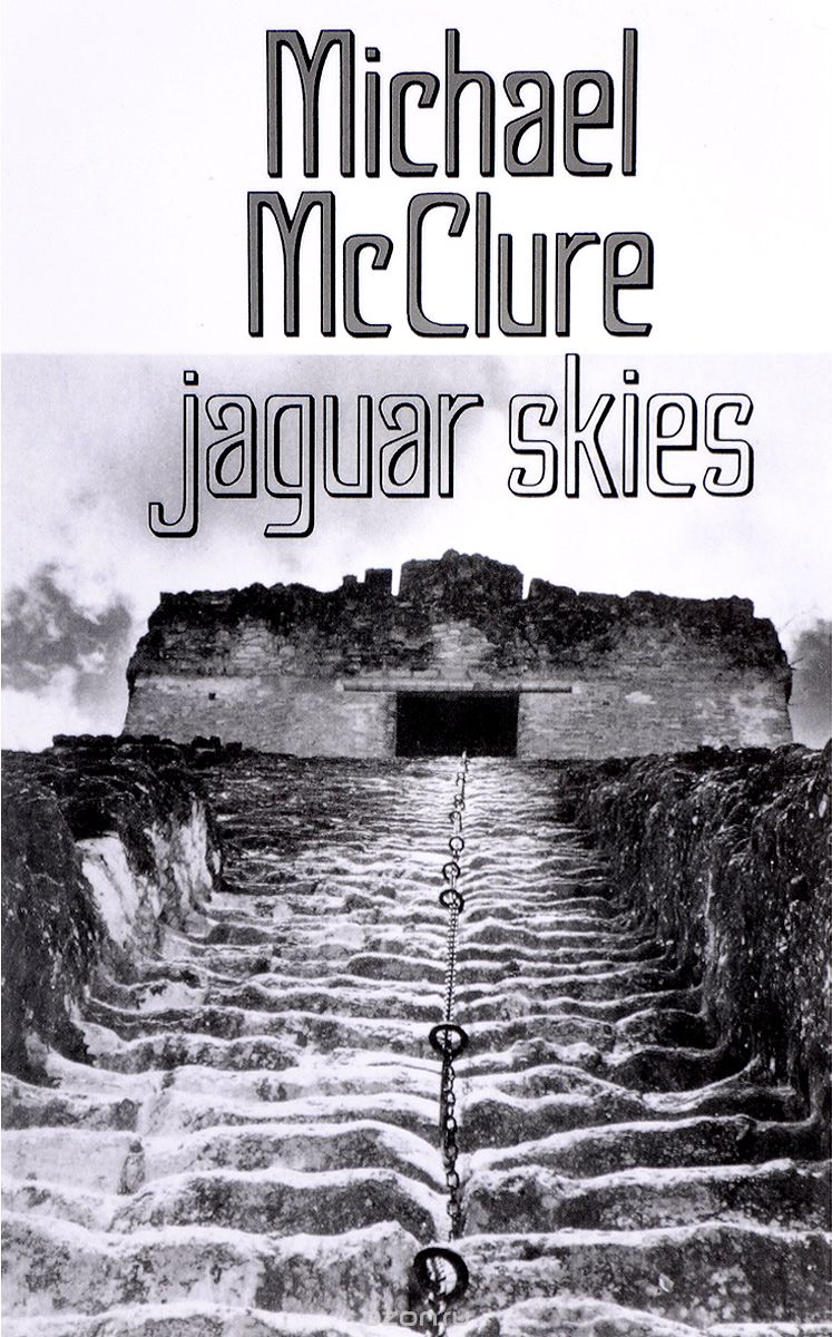 Скачать книгу "Jaguar Skies"
