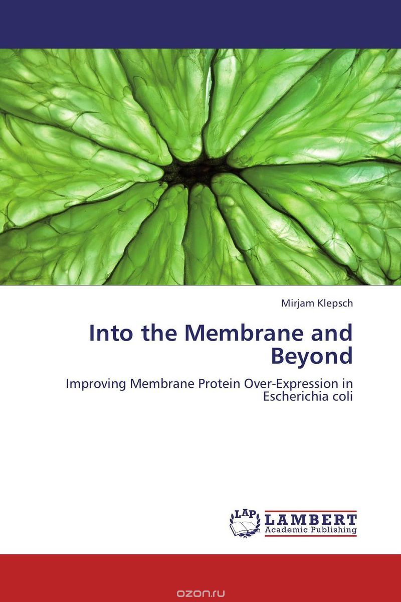 Скачать книгу "Into the Membrane and Beyond"