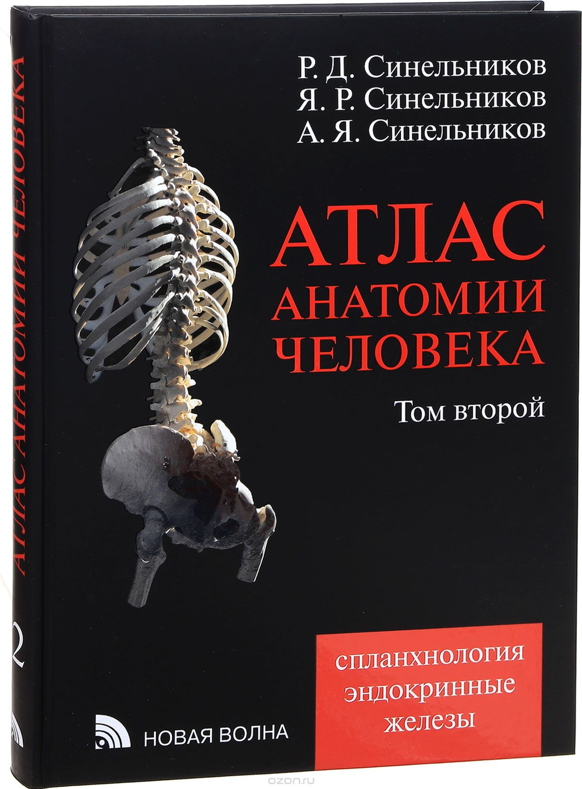 Скачать книгу "Атлас анатомии человека. В 4 томах. Том 2. Учение о внутренностях и эндокринных железах, Р. Д. Синельников, Я. Р. Синельников, А. Я. Синельников"