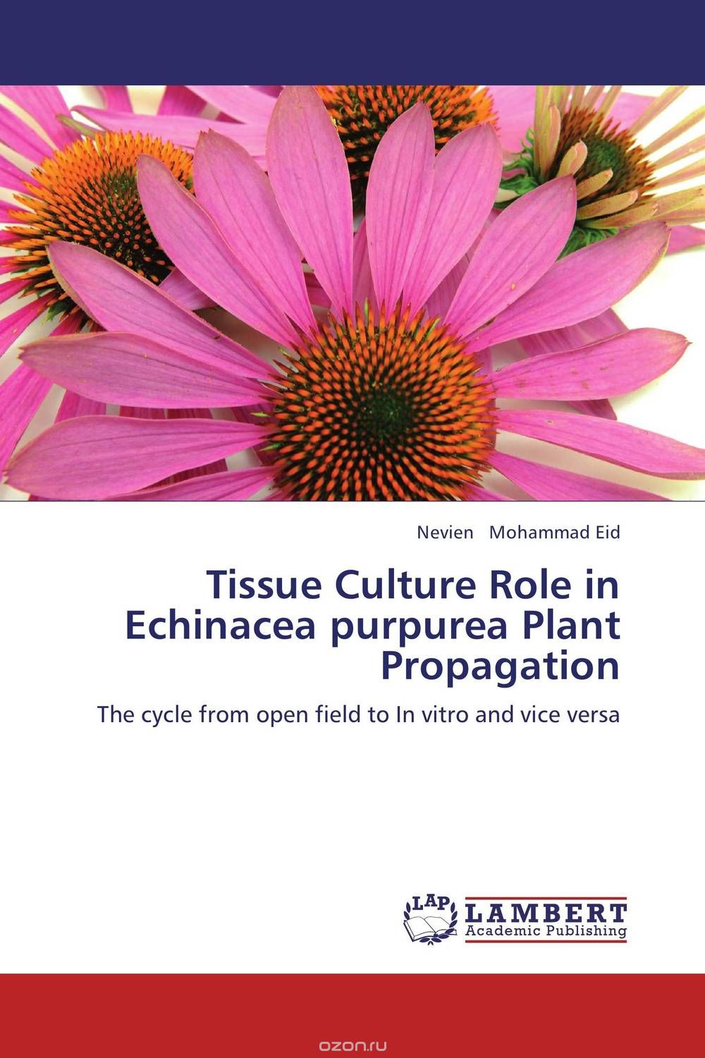 Tissue Culture Role in Echinacea purpurea Plant Propagation