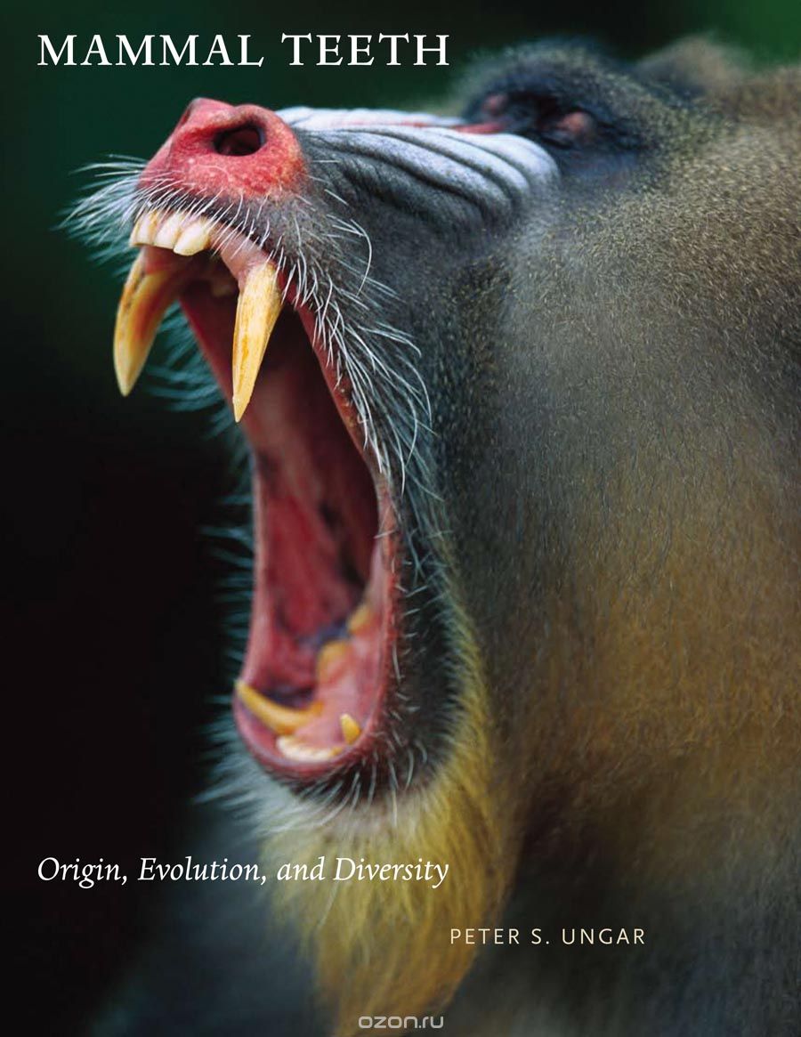Mammal Teeth – Origin, Evolution, and Diversity