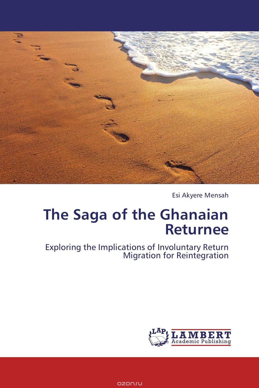 Скачать книгу "The Saga of the Ghanaian Returnee"