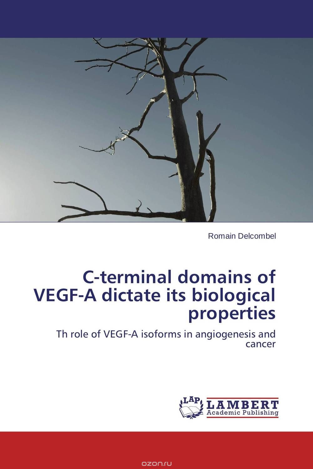 C-terminal domains of VEGF-A dictate its biological properties