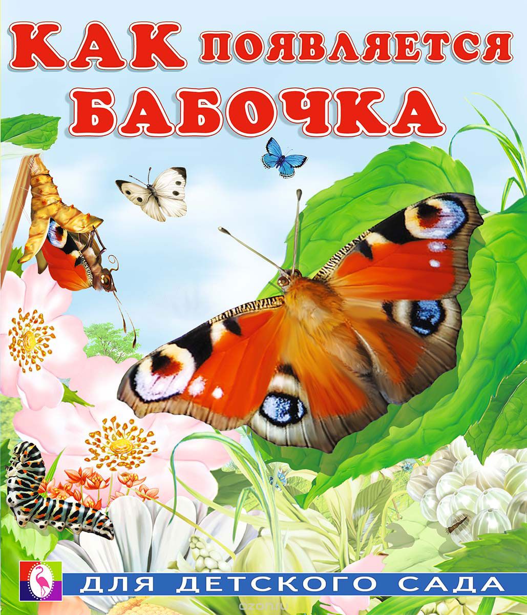 Как появляется бабочка, Ирина Гурина