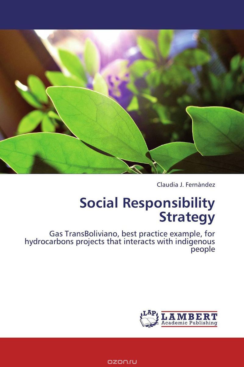Скачать книгу "Social Responsibility Strategy"
