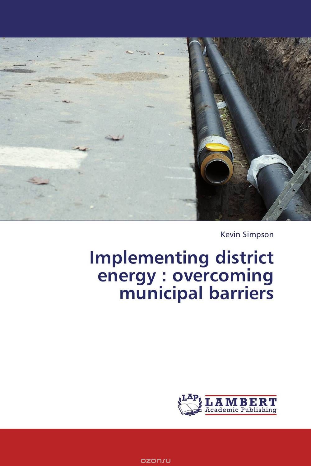 Implementing district energy : overcoming municipal barriers