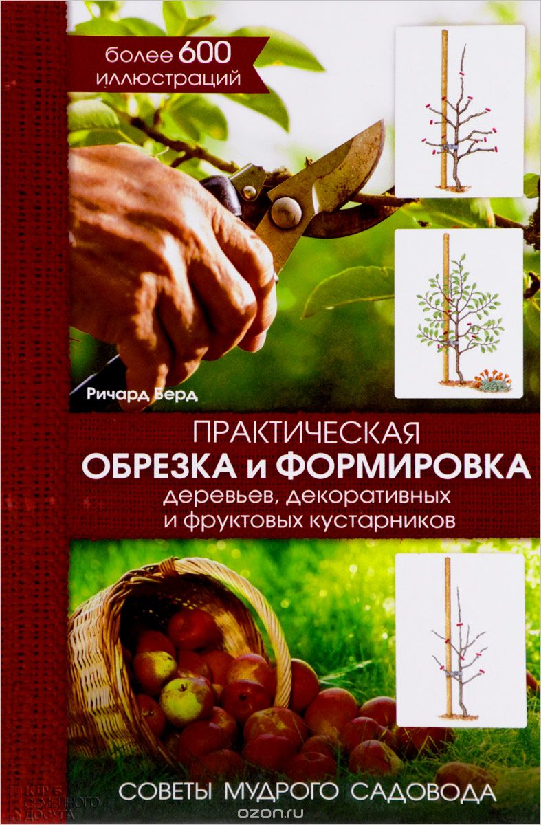 Скачать книгу "Практическая обрезка и формировка деревьев, декоративных и фруктовых кустарников, Ричард Бёрд"