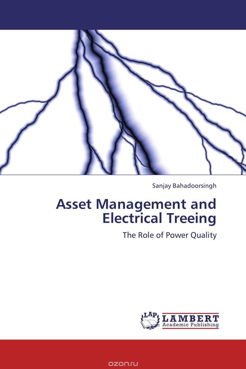 Скачать книгу "Asset Management and Electrical Treeing"