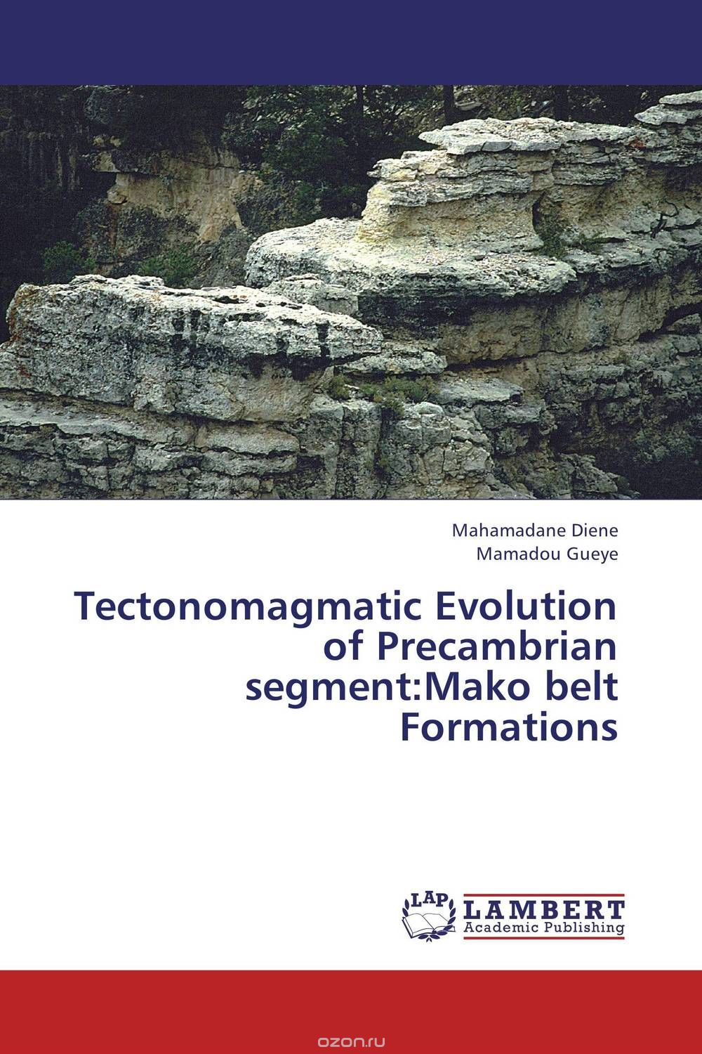 Tectonomagmatic Evolution of Precambrian segment:Mako belt Formations