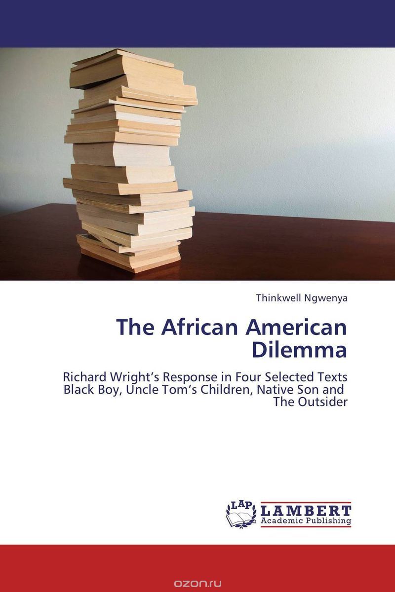 Скачать книгу "The African American Dilemma"
