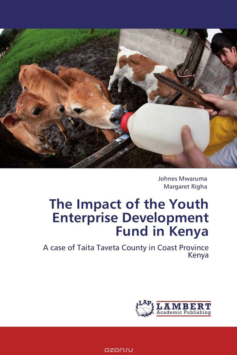 Скачать книгу "The Impact of the Youth Enterprise Development Fund in Kenya"